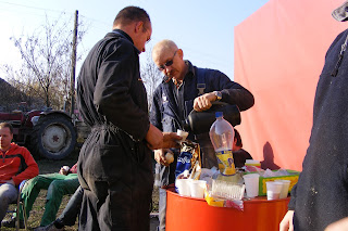 Image alt text