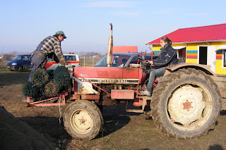 Image alt text