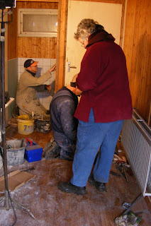 Image alt text