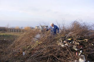 Image alt text